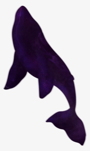 I'm On My Way - Whales #515990