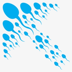 Could You Be A Sperm Donor - Sperm Donation #516164