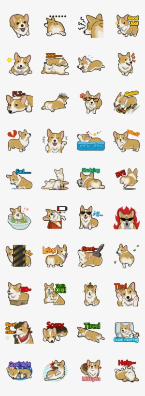 Innocent Corgi Loves You So~ Let The Lovely Corgi Express - Dog #516488