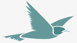 Mb Image/png - Flying Bird Cartoon Transparent Background #517231