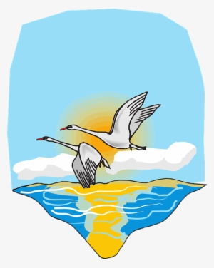 Birds Flying Geese Free Vector Graphic On - Birds Flying Over The Sea Clipart #517490
