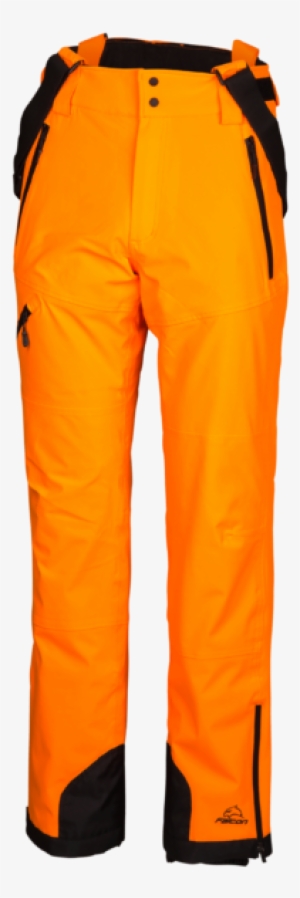 Orange Clownfish #518178