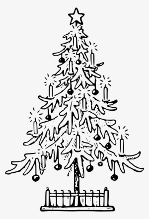 Christmas Tree Cliparts - Christmas Tree Images Outline #518587