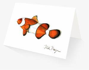 Clownfish - Silver Creek Press 2017 Sea Life Wall Calendar #518639