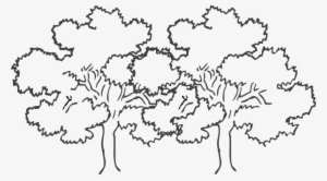 Bare Tree Clipart Black And White Png - Trees Black And White Clip Art #519204