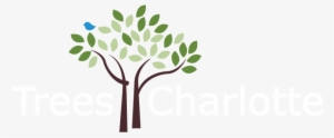 Treescharlottelogo-white 2b - Trees Charlotte #519464