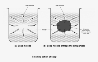 On Putting A Dirty Cloth Is Put In Water Containing - Diagram #5101978