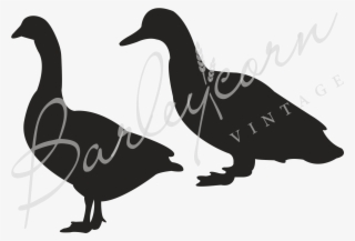 Decals Stickers Size: 5 X 4 Inches Black #5103551