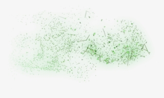 242 - Chlorophyta #5104182