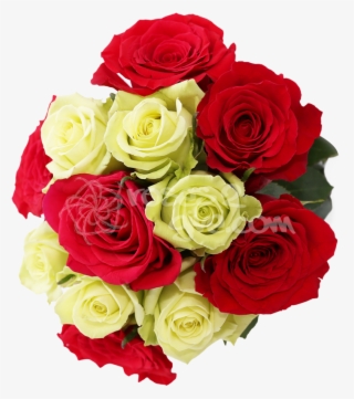 Red - Green Combination - Red And Yellow Rose Png #5104649
