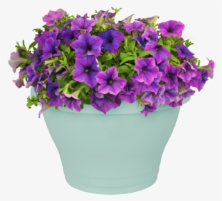 Home > Collection > Corsica Wall Basket #5105591