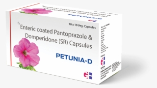 Img - Geranium #5105768