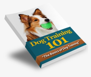 We Send Out The Download Link For The Ebooks Along - Dog #5109060