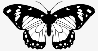 Black And White Butterfly Png - Transparent Background Black And White Butterfly #5110687