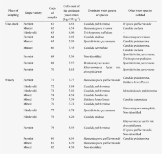 Taxonomic Composition Of The Yeast Biota Detected On - Document #5110748