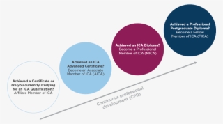 Affiliate Member - Anti-money Laundering Software #5111527