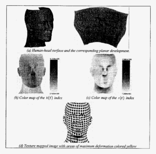 Human Head Surface And The Corresponding Planar Development - Monochrome #5112284