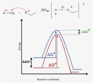 Solvent Effect Sn1 Mechanism - Sn1 Solvent Effect #5115117