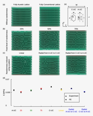 Elastomer Lattice Structure With Regular And (b And - ادکلن Explore #5116650