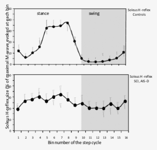 Soleus H-reflex Modulation During Treadmill Stepping - Spinal Cord #5117812