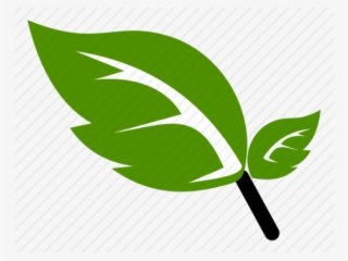 Green Leaf Icon Png #5119595