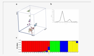 A Principal Coordinates Analysis Of 28 Accessions Of - Diagram #5121001