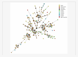 Minimal Spanning Tree Showing The Phylogenetic Relationships - Organ #5122756