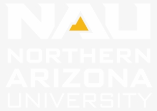 Cash, Visa, Mastercard, Jacks Debit Express And Dining - Northern Arizona University Pennant #5123886