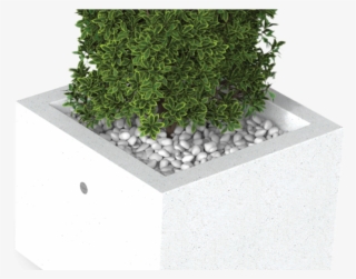 Id Created, Inc. #5124301