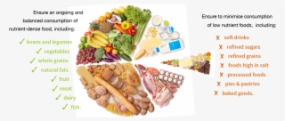 Food Pyramid - Carbohydrates Healthy Fats And Protein #5126705