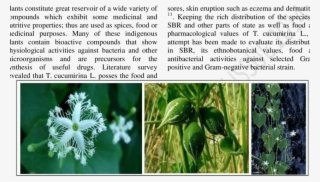 Plant Parts Of T - Flower #5128121