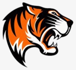 Tigres Nancy - Tigre #5128938