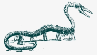 A Canadian River Monster - Insect #5129104