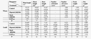 Effect Of Soaking In Digested Or Stock Jellyfish Solutions #5129558 Effect Of Soaking In Digested Or Stock Jellyfish Solutions #5129558