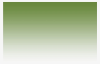 Green Gradient Background Transparent #5130682