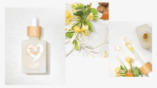 Description - Oil #5132888