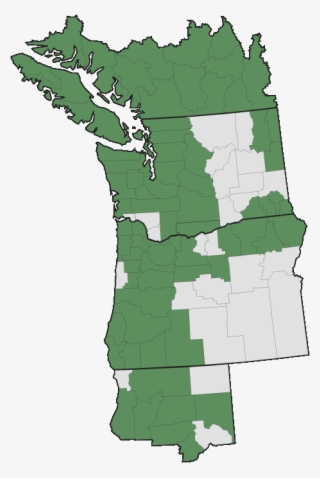 More Information - - Pacific Northwest #5133876