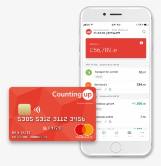 Counting Up Business Account #5136048