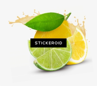 Lime Splash Lemon - Sweet Lemon #5138131