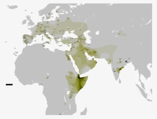 Haplogroup T #5139027