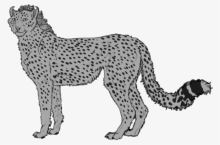 Cheetah Spot Png Jpg Black And White - Cheetah #5142135