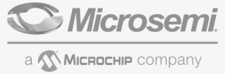 Support Snapshot - Microsemi A Microchip Company #5144091