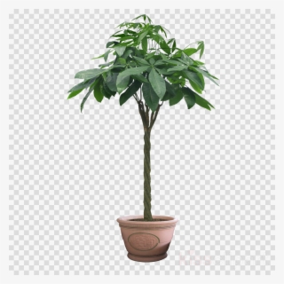 Download Winsoon 5ft Black Single Rustic Sliding Barn - Plant In Pot Png #5144726