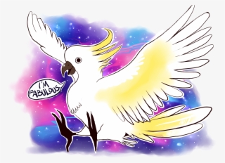 Oc Parrot Drawing #5144944