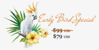 Be Sure To Check Back Tomorrow When I'll Release The - Parrots Decor Shower Curtain Set By Ambesonne, Hibiscus #5145149