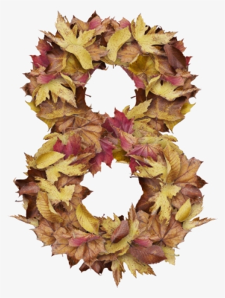 8 Number With Dry Leaves - Portable Network Graphics #5146056
