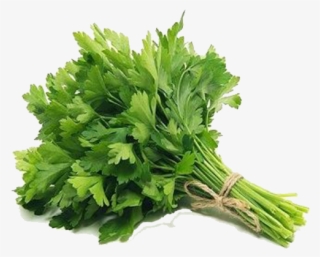 Parsley - คื่ น ช่า ย ไทย #5146343