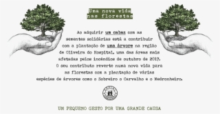 Arcial-texto - 100 Days Blank Sketchbook: Hand Drawing Book; #5146601