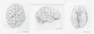 Brainprocess - Sketch #5148144 Brainprocess - Sketch #5148144