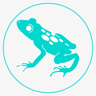 Blue Poison Frog - Phyllobates #5149473